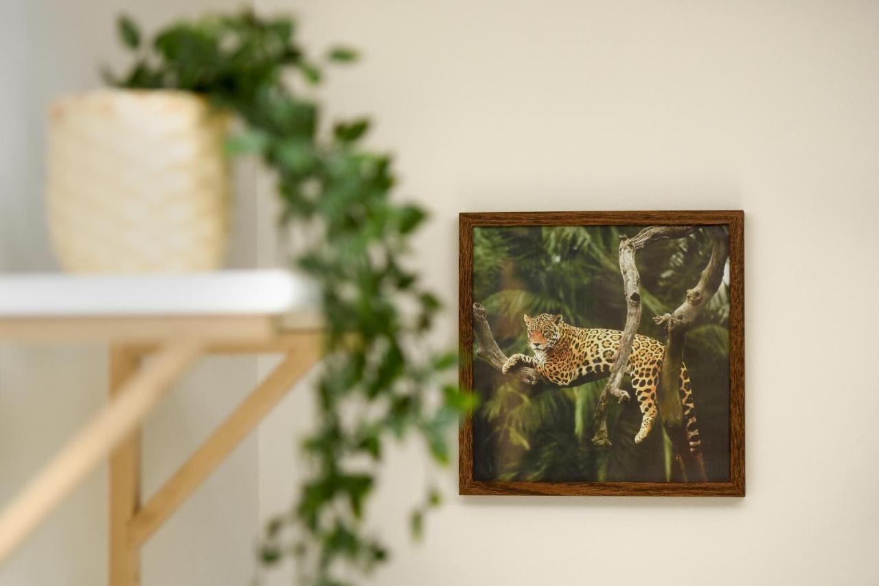 Plants Attic Studio - Best Location - Old Town Bukareszt Zewnętrze zdjęcie